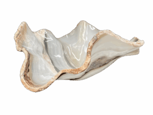 29990263-740b-4539-bae5-b8666fbed762