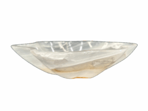 ab8b7eb5-656a-42f3-8a35-6a96a0a1acf2