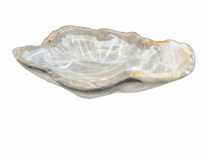 f0910467-8c99-44a5-96e2-3fe5cf49f578